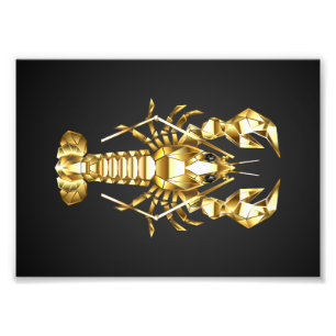 Golden polygonlobster kräftor på svart fototryck