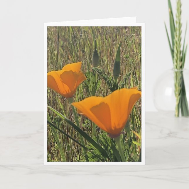 Golden Poppies - 2 Kort (Framsida)