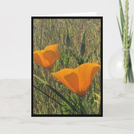 Golden Poppies Easter Card 3 Kort