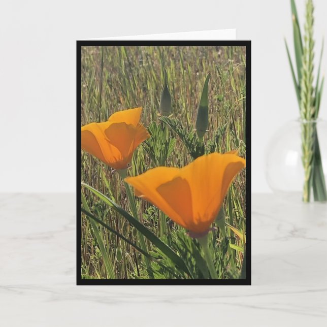 Golden Poppies Easter Card 3 Kort (Framsida)