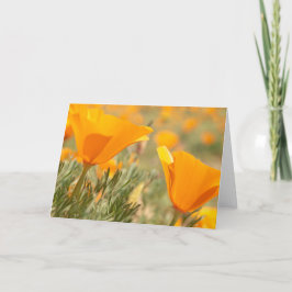 Golden Poppies Kort