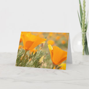 Golden Poppies Kort