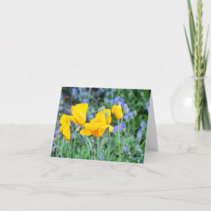 Golden poppies visar dig att du bryr dig tack kort