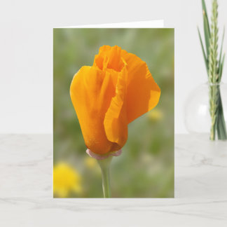 Golden Poppy Flower Kort