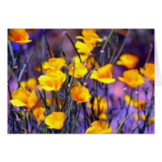 Golden Poppy Hälsningskort