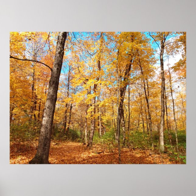 Golden Poster (Framsidan)