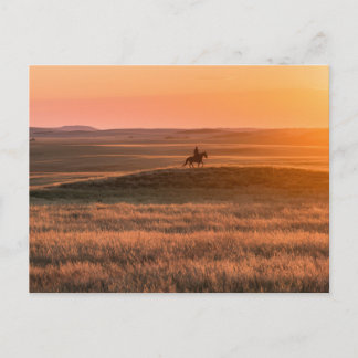 Golden Prairie Party Invitation - Classic Western  Vykort