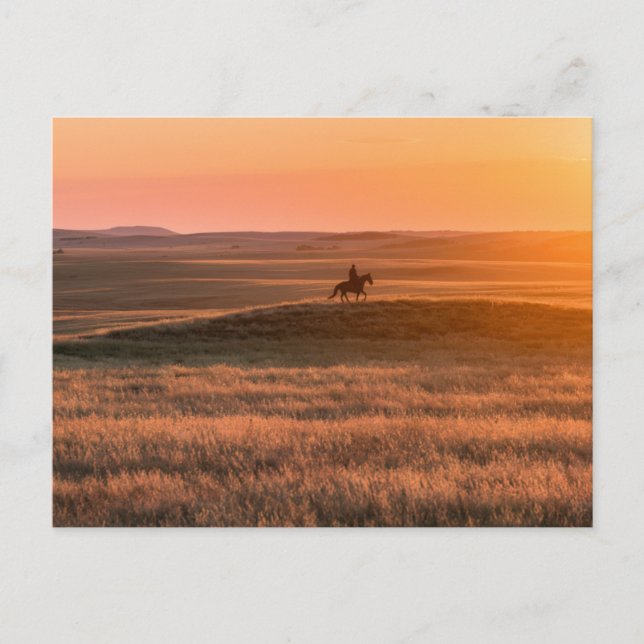 Golden Prairie Party Invitation - Classic Western  Vykort (Framsida)