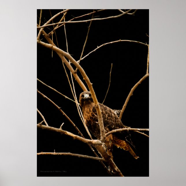 Golden Print Poster (Framsidan)