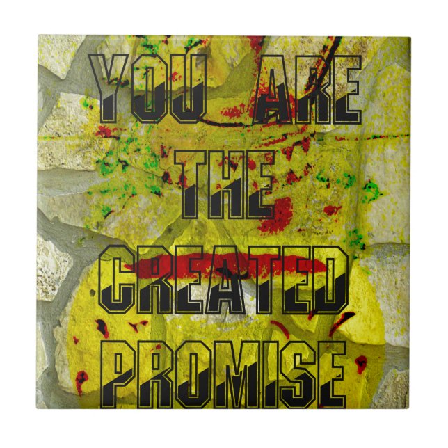 Golden Promise: The Golden Script of Destiny Kakelplatta (Framsidan)