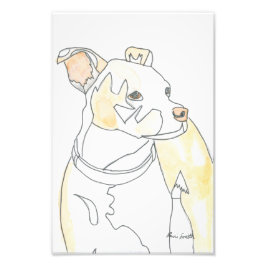 Golden Pup Print Fototryck