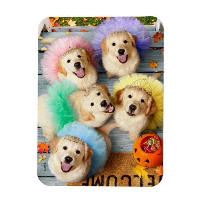 Golden Puppies Trick eller Trey Magnet (Vertikal)
