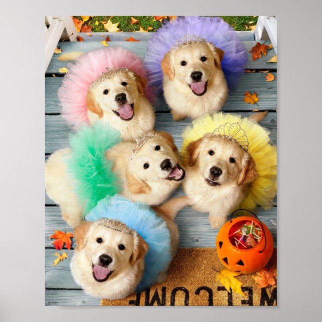 Golden Puppies Trick eller Trey Poster (Framsidan)