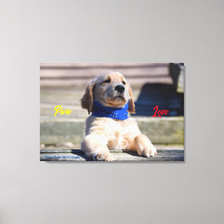 Golden Puppy med Bandana - Kanvastryck
