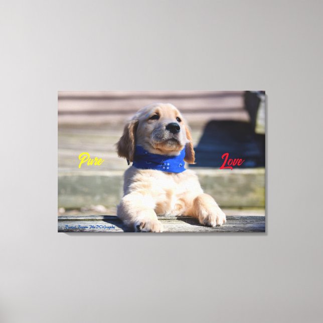 Golden Puppy med Bandana - Kanvastryck (Framsida)