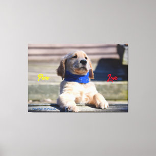 Golden Puppy med Bandana - Kanvastryck