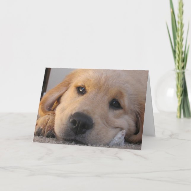 Golden Puppy Miss You Card Kort (Framsida)