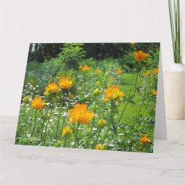 Golden Queen Trollius Kort