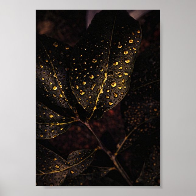 Golden Rain Glow – Natural Elegance Poster (Framsidan)