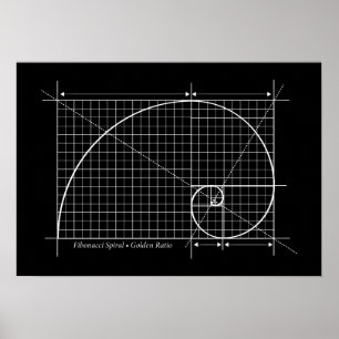 Golden Ratio, Fibonacci Spiral, Teckning Poster