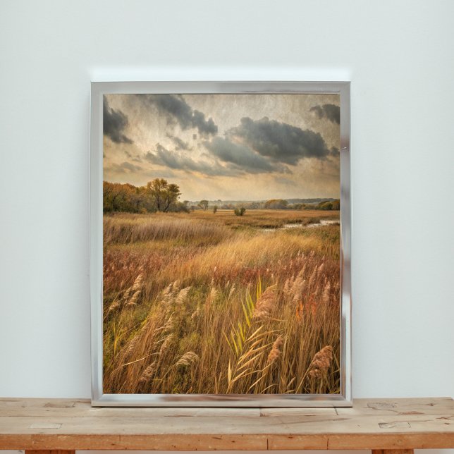 Golden Reeds under Stormy Himmel Poster (Skapare uppladdad)