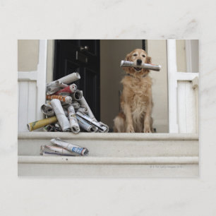 Golden Reparant hund sitta vid ytterdörren Vykort