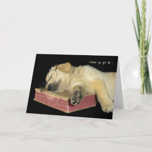 Golden Reparant puppy på bok Kort