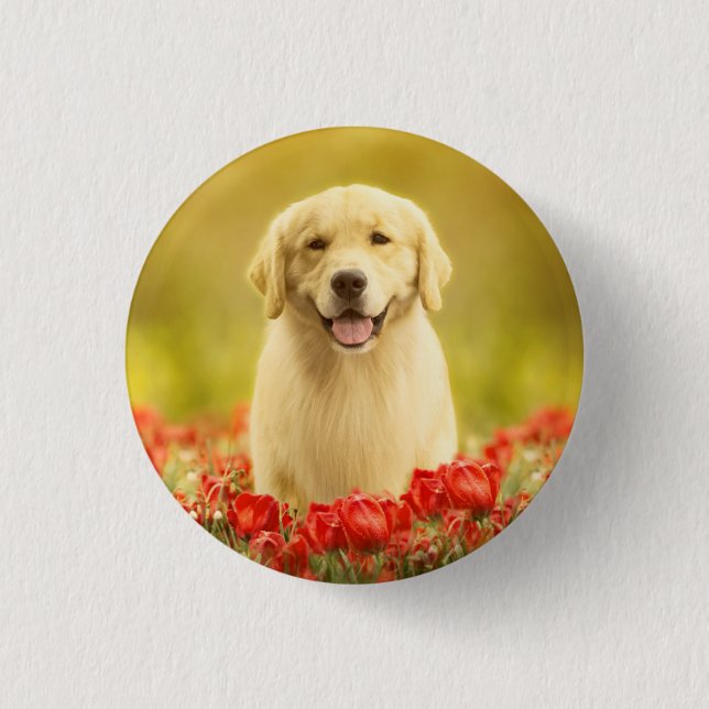 Golden Retirever i Red Flowers Knapp (Framsida)