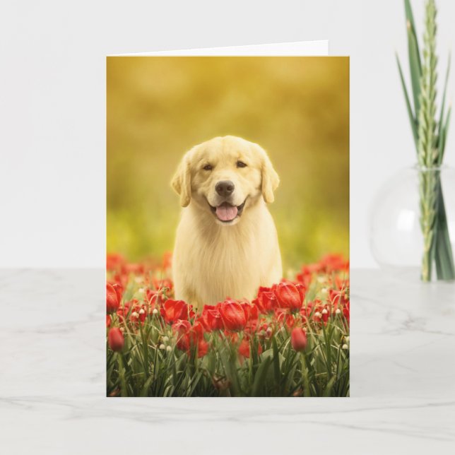 Golden Retirever i Red Flowers Kort (Framsida)