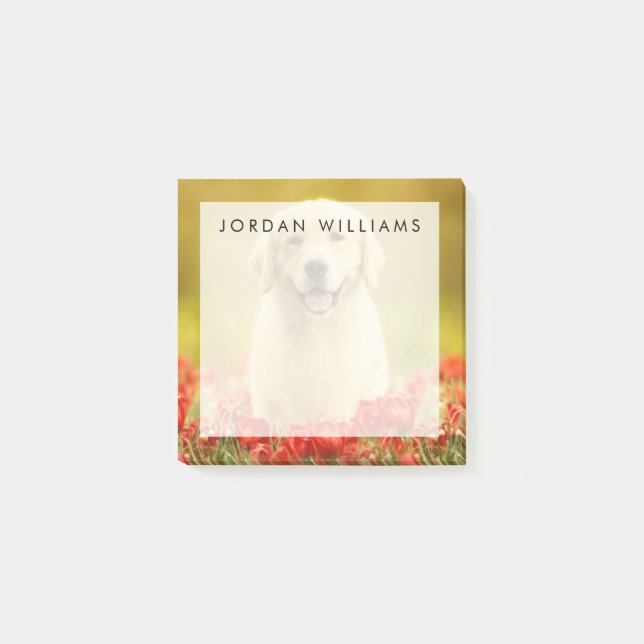 Golden Retirever i Röda blommor Post-it Block (Framsida)