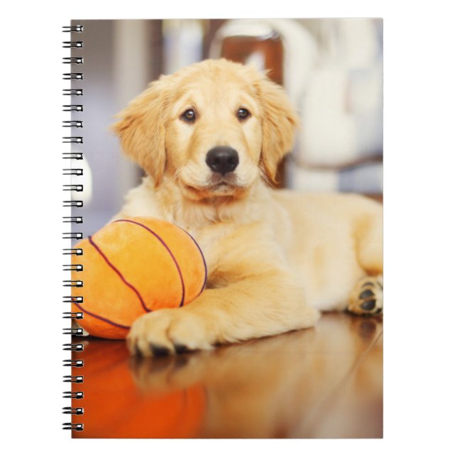 Golden Retricher med basket Leksak Anteckningsbok (Framsidan)
