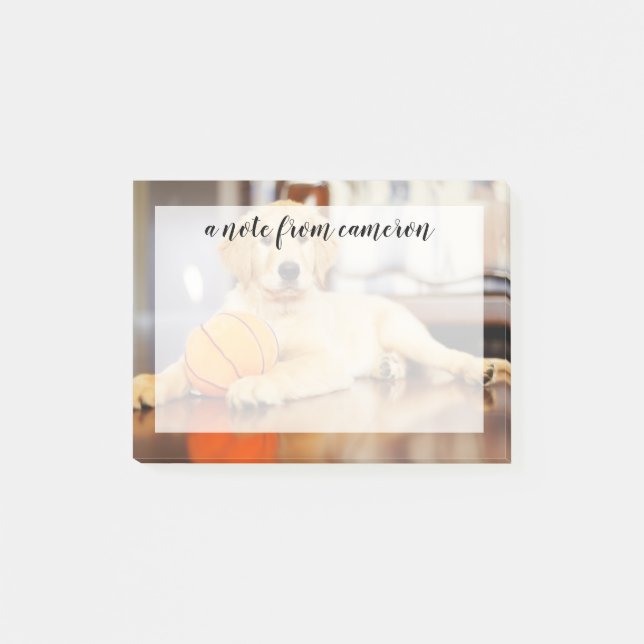 Golden Retricher med basket Leksak Post-it Block (Framsida)