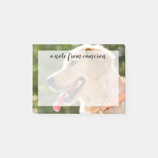 Golden Retricher-profil med Tunga ut Post-it Block (Framsida)