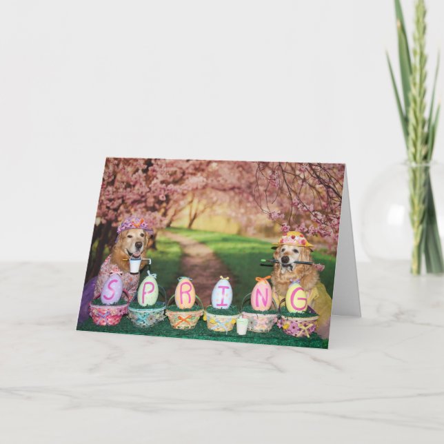 Golden Retricher Vår in i Påsk Helgkort (Framsida)