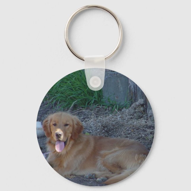 Golden Retrieve Keychain Nyckelring (Framsida)