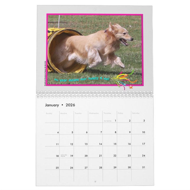 Golden Retriever 2015-kalendern Kalender (Jan 2026)