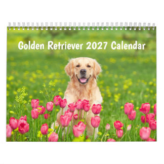 Golden retriever 2027 Kalender