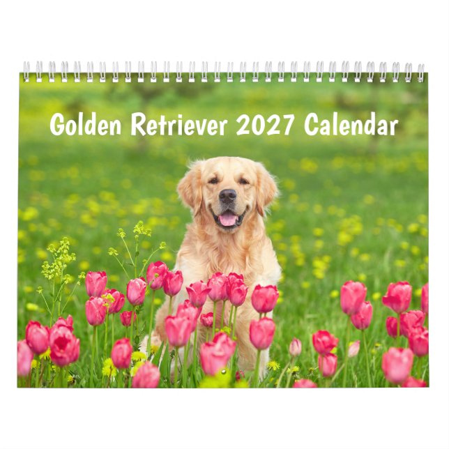 Golden retriever 2027 Kalender (Omslag)