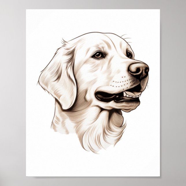 Golden Retriever 2 Poster (Framsidan)