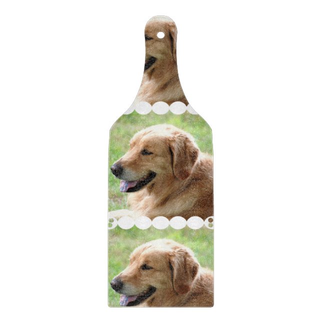 golden-retriever-33 (Framsidan)