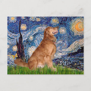 Golden Retriever 3 - Starry Night Vykort