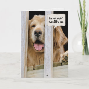 Golden Retriever 40-årsdagen Kort