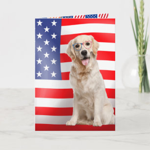 Golden Retriever 4:e juli Kort