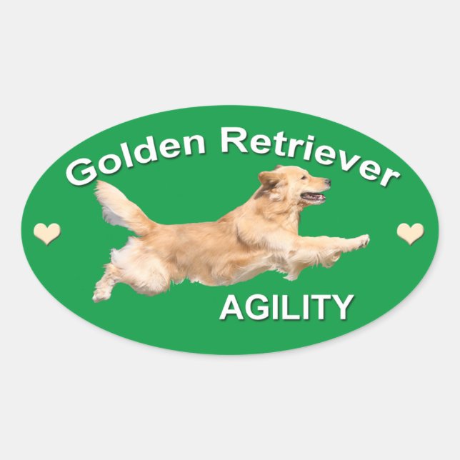 Golden Retriever Agilitet Decal Ovalt Klistermärke (Framsida)