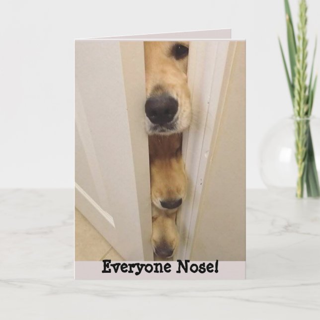 Golden Retriever alla Nose Birthday Card Kort (Framsida)