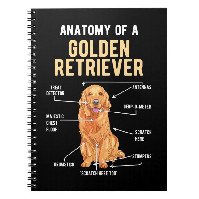 Golden Retriever Anatomy Rolig hund Anteckningsbok (Framsidan)