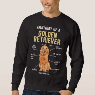 Golden Retriever Anatomy Rolig hund Lång Ärmad Tröja
