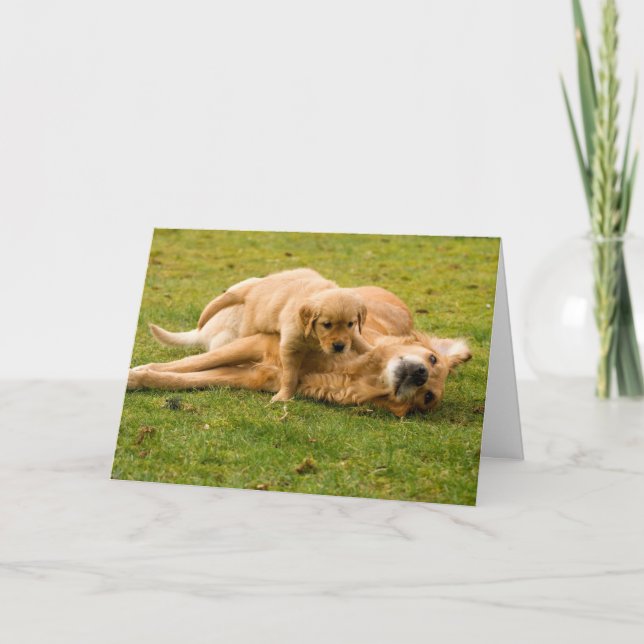 Golden Retriever and Puppy Fars dag Card Kort (Framsida)