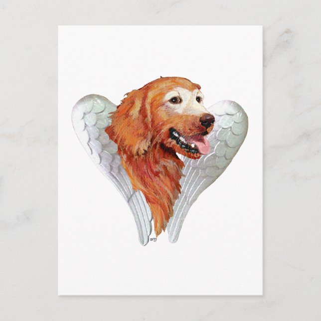 Golden Retriever Angel Vykort (Framsida)