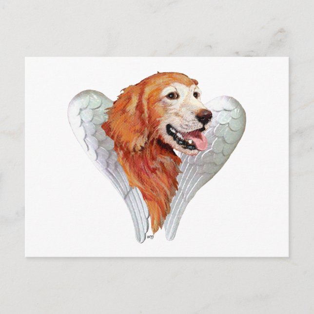 Golden Retriever Ängel Vykort (Framsida)